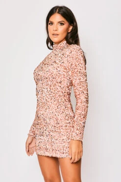 Leia - Rose Pink Long Sleeve High Neck Sequin Bodycon Dress -Deals Sarto View Store 23 09 MISSG 5724