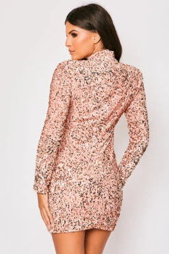Leia - Rose Pink Long Sleeve High Neck Sequin Bodycon Dress -Deals Sarto View Store 23 09 MISSG 5731