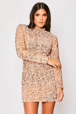 Leia - Champagne Long Sleeve High Neck Sequin Bodycon Dress -Deals Sarto View Store 23 09 MISSG 5766