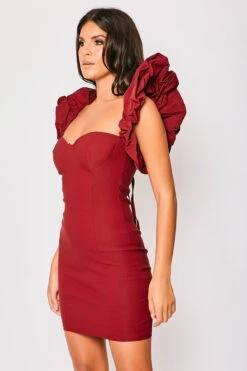 Hazel - Wine Puff Sleeve Mini Dress -Deals Sarto View Store 23 09 MISSG 6159