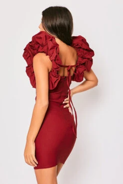 Hazel - Wine Puff Sleeve Mini Dress -Deals Sarto View Store 23 09 MISSG 6164