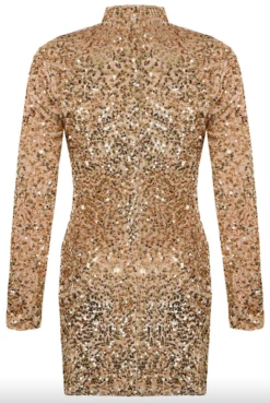 Leia - Champagne Long Sleeve High Neck Sequin Bodycon Dress -Deals Sarto View Store ScreenShot2022 09 11at13.12.59