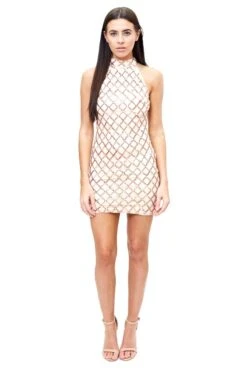 Amias - Nude Sequin High Neck Body-con Dress
