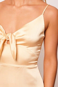 Allonia - Champagne Gold Satin Tie Up Skater Dress 9 Allonia - Champagne Gold Satin Tie Up Skater Dress -Deals Sarto View Store wjrs2390